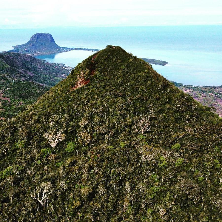 Tenexia - Morne Brabant Studio La Gaulette Luaran gambar